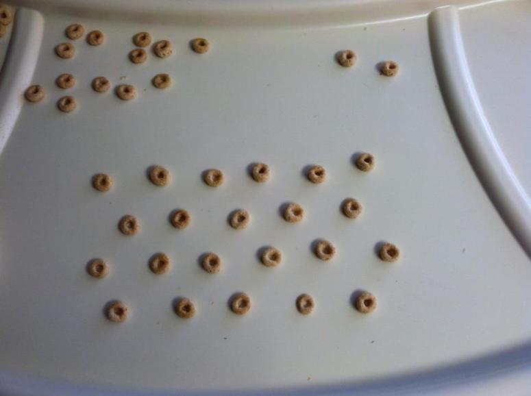 579159_10151304953951524_1582510731_n